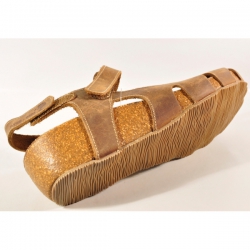 INTER-BIOS 5326 PARDO-0