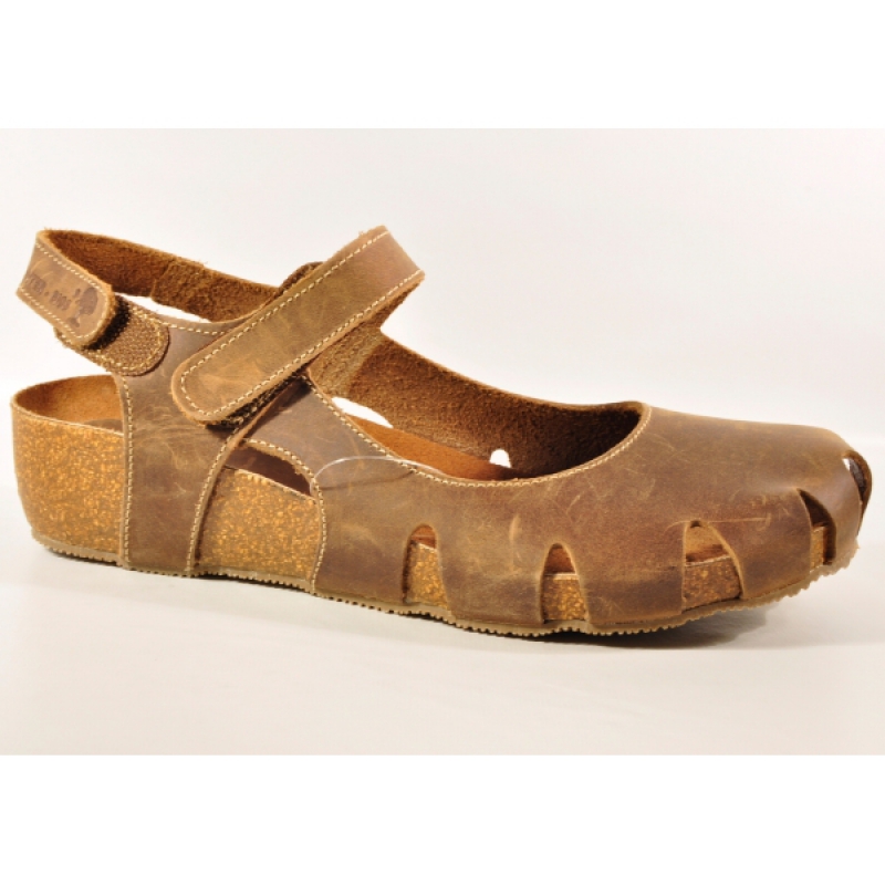 INTER-BIOS 5326 PARDO-1