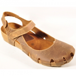 INTER-BIOS 5326 PARDO-2