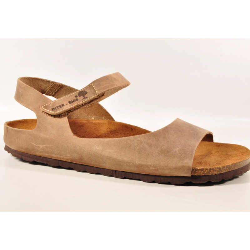 INTER-BIOS 7204 PARDO-0