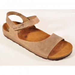 INTER-BIOS 7204 PARDO-1