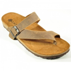 INTER-BIOS 9511 PARDO-0