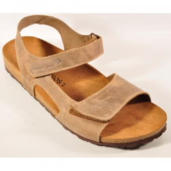 INTER-BIOS 9536 PARDO-1