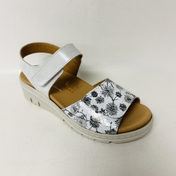 DOCTOR CUTILLAS 36148