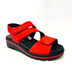 DOCTOR CUTILLAS 36151